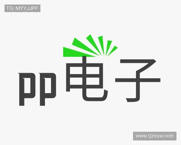 介绍pp电子首页